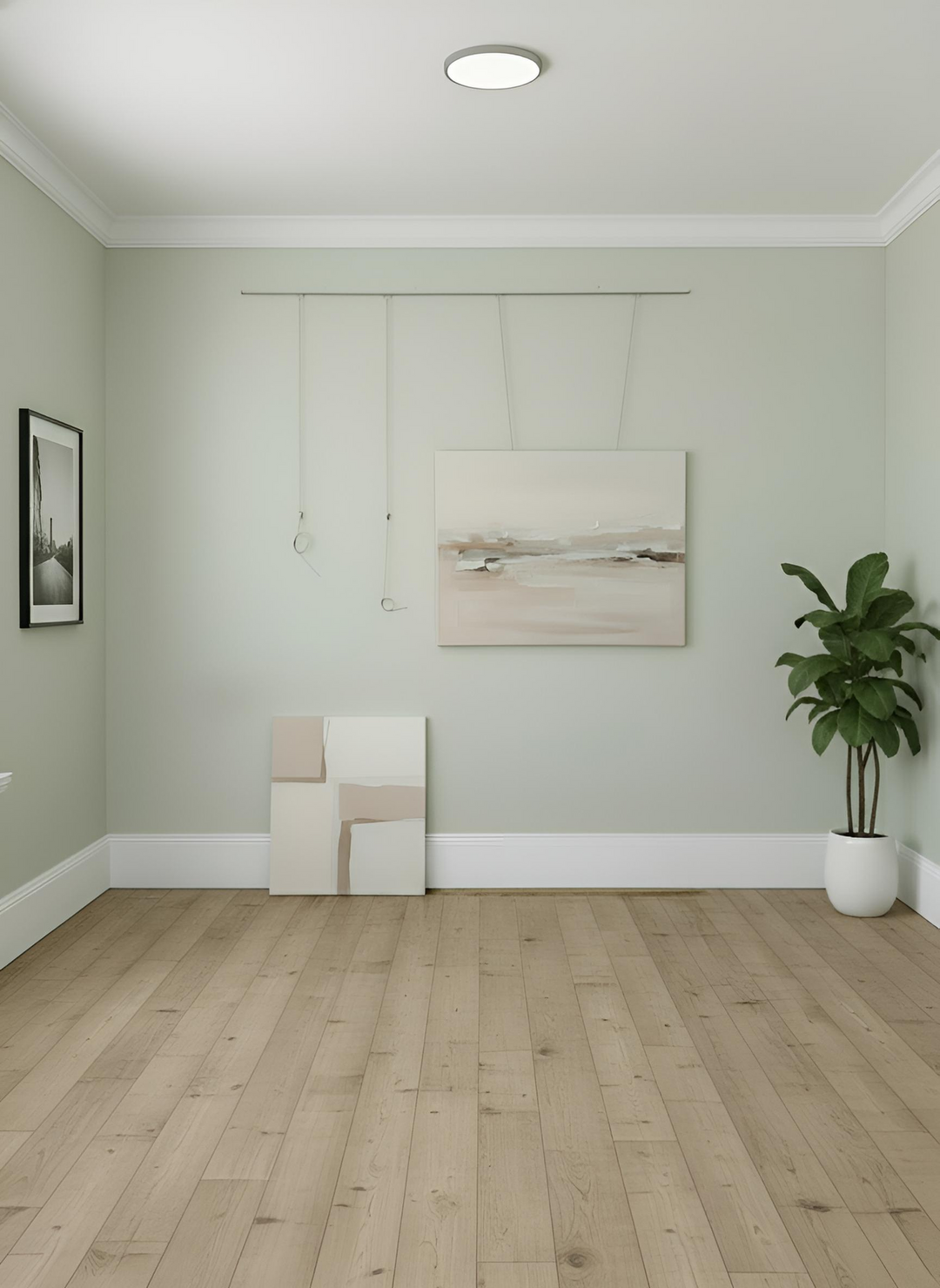 Art hanging system in new home