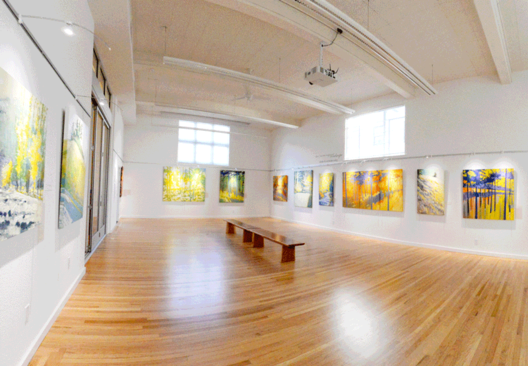 Picture Hanging Systems for Art Gallery Displays