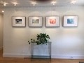 Art Hanging for Home Art Gallery Hanging System