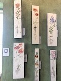 Hanging Systems for Art Galleries and Homes