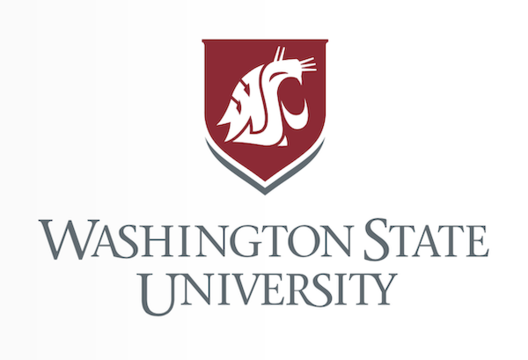 Art Program at Washington State University