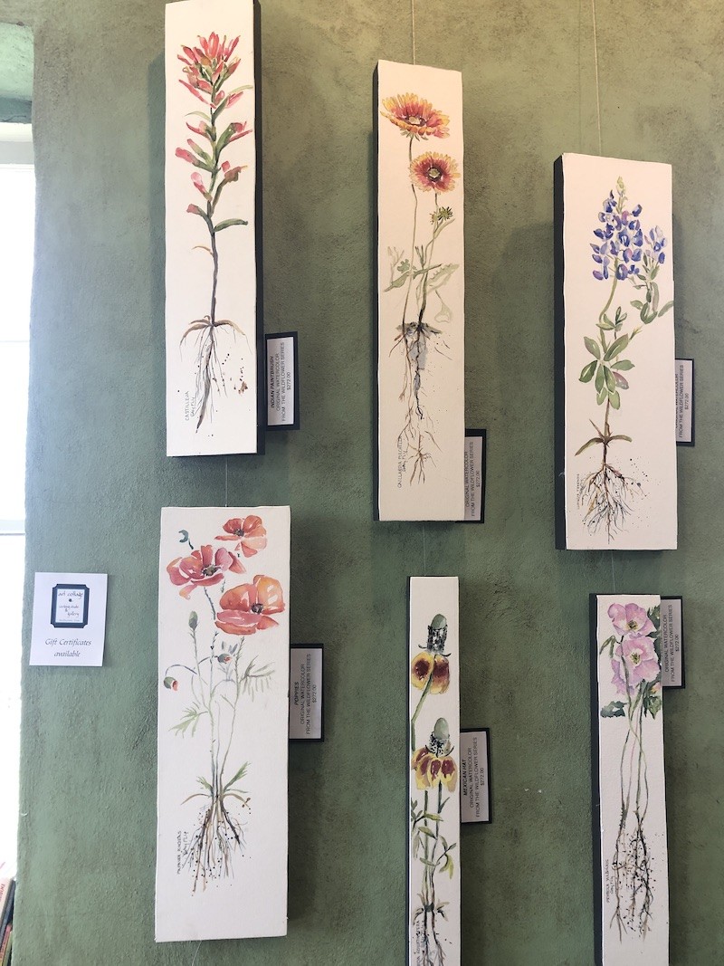 Art Gallery Hanging Systems for Professional Displays